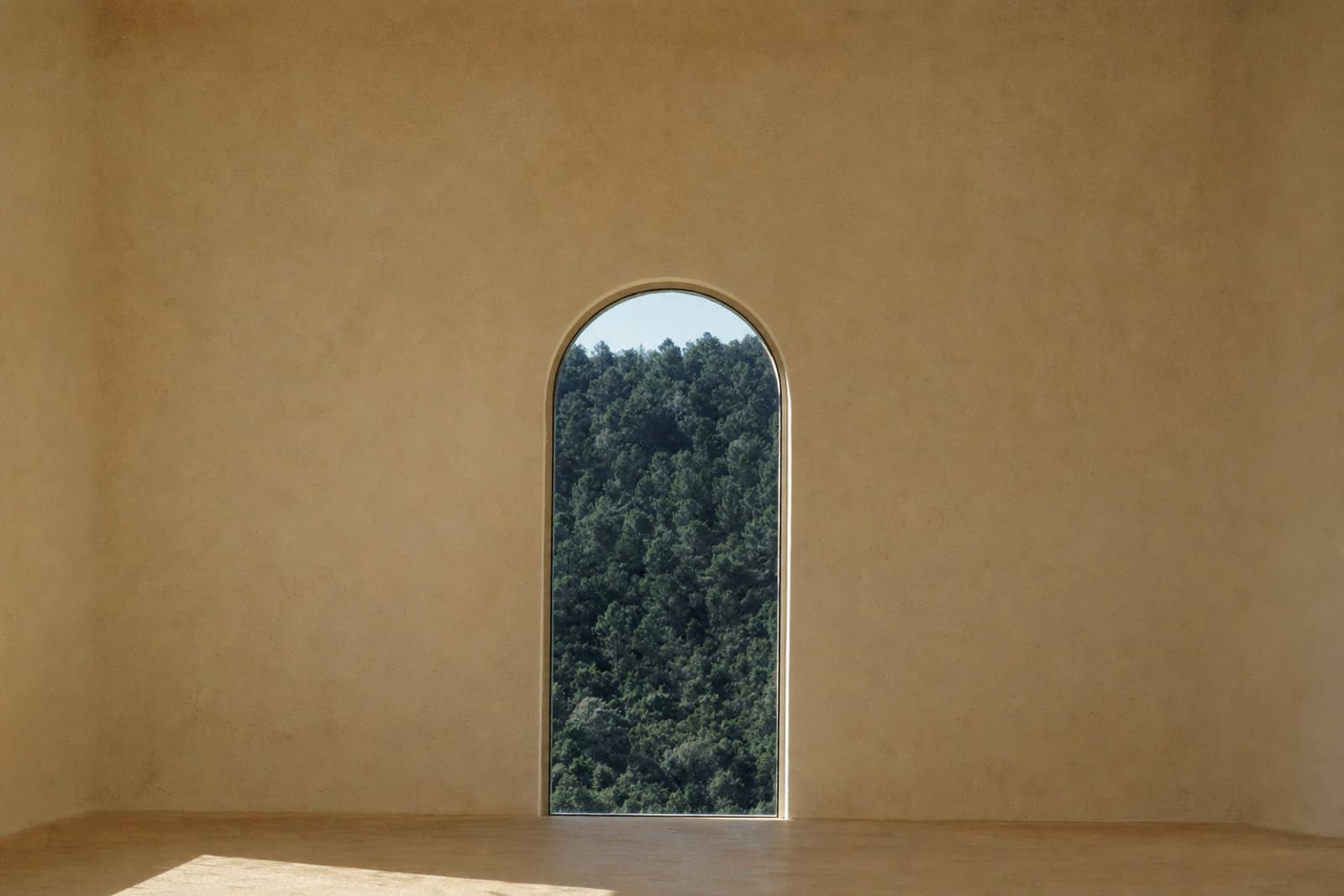Ventana en arco sobre un muro de cal, bosque en sombra.